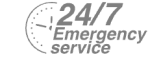 24/7 Emergency Service Pest Control in Norbury, SW16. Call Now! 020 8166 9746