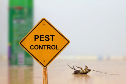 Pest Contol in Norbury, SW16. Call Now 020 8166 9746